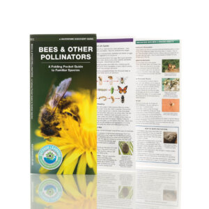 Bees & Other Pollinators Nature Guide