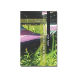 Salgamos a caminar el plan de estudios