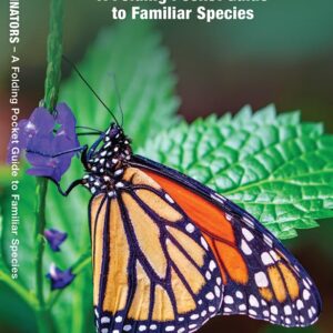 Butterflies & Pollinators Nature Guide